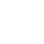 Logo FAT logo white