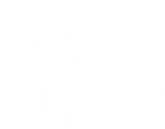 Longhorn logo white