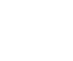 Native foods logo white