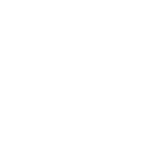 Wild wing logo white
